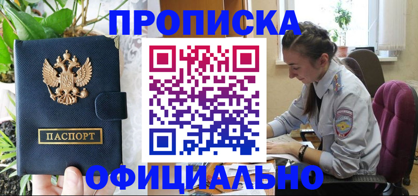 прописка для школы в Волоколамске